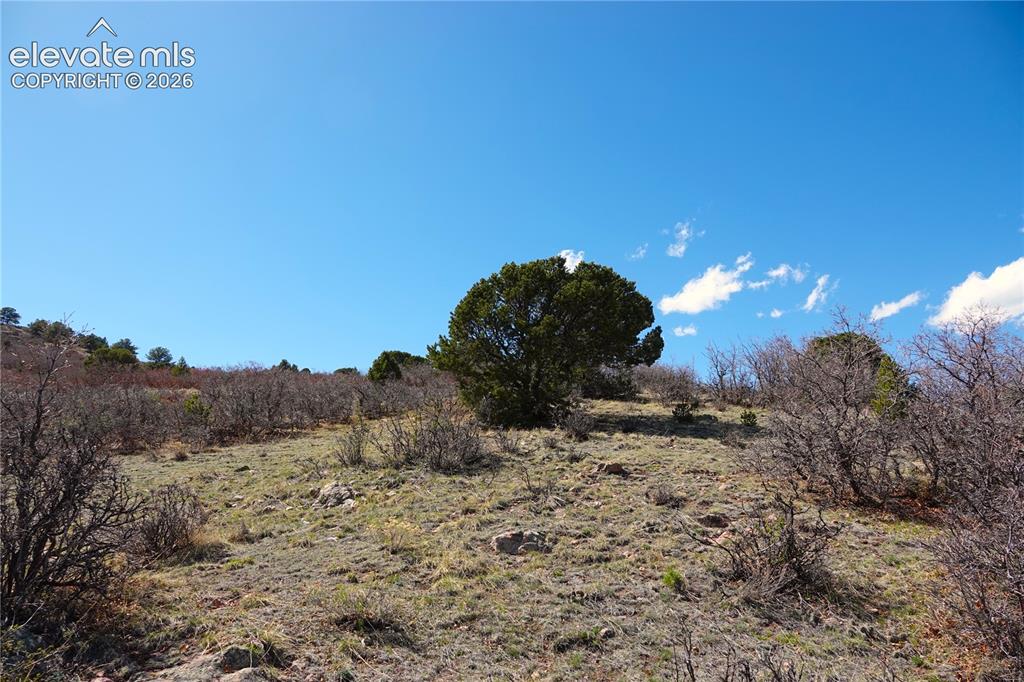 Lot 1 County Road 5 Canon City CO 81212