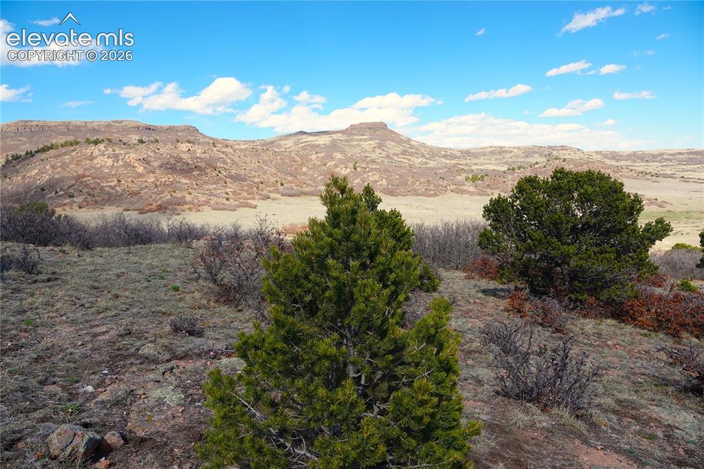 Lot 1 County Road 5 Canon City CO 81212