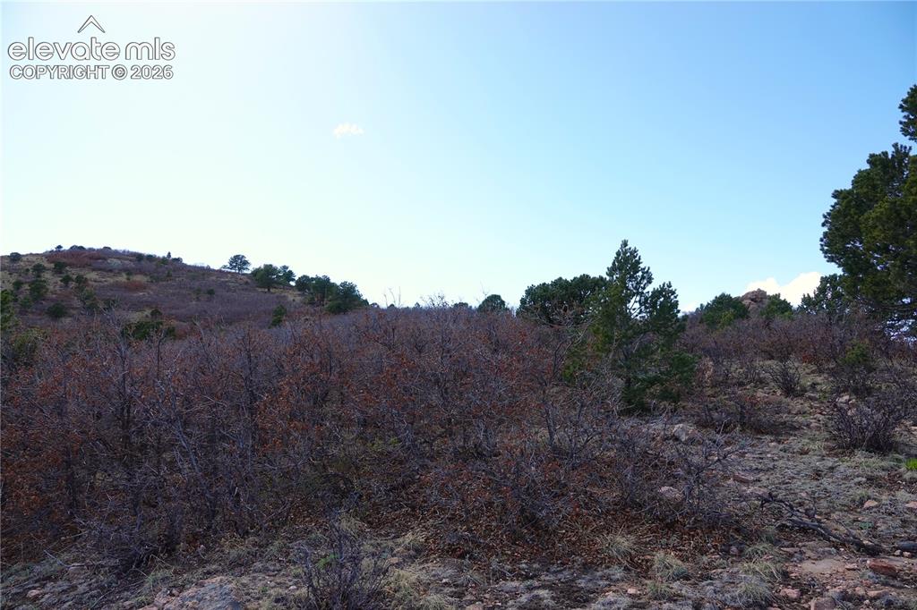 Lot 1 County Road 5 Canon City CO 81212