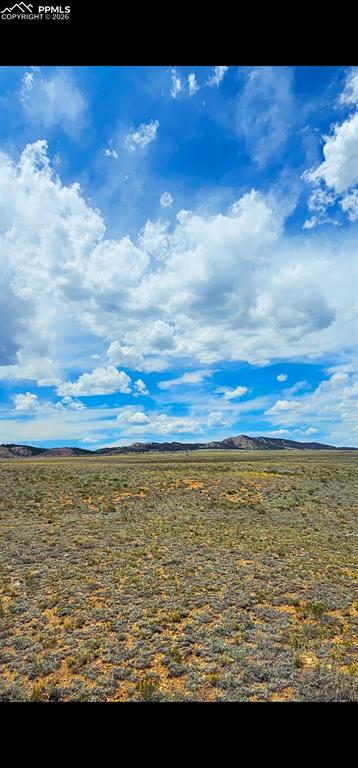 671 S Muley Gulch Drive Hartsel CO 80449