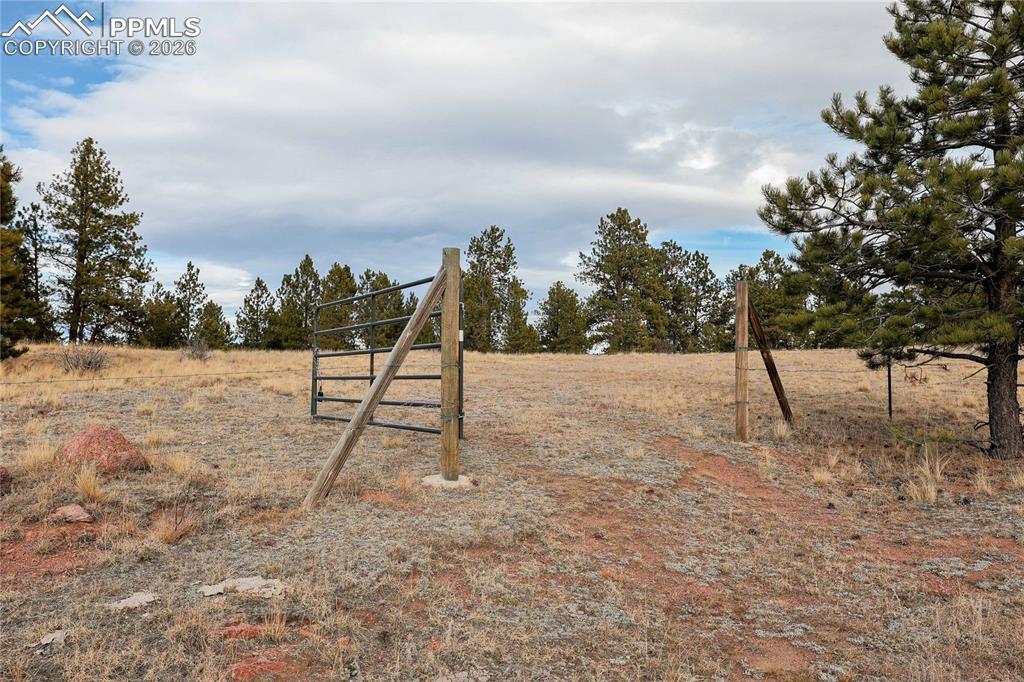 000 Twinkle Road Guffey CO 80820