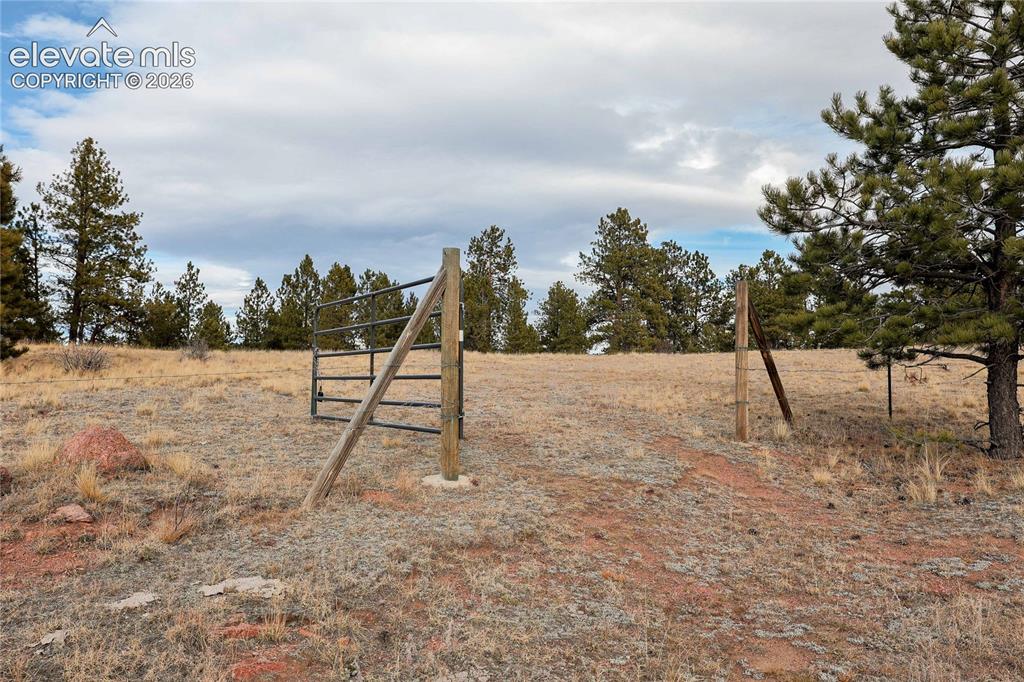 000 Twinkle Road Guffey CO 80820