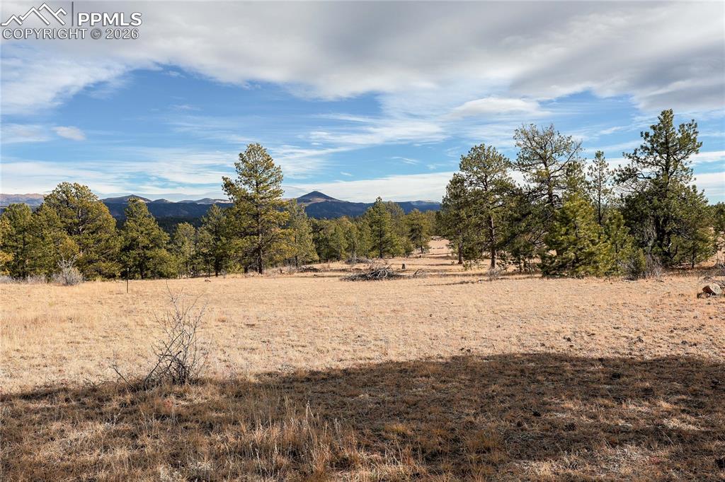 000 Twinkle Road Guffey CO 80820