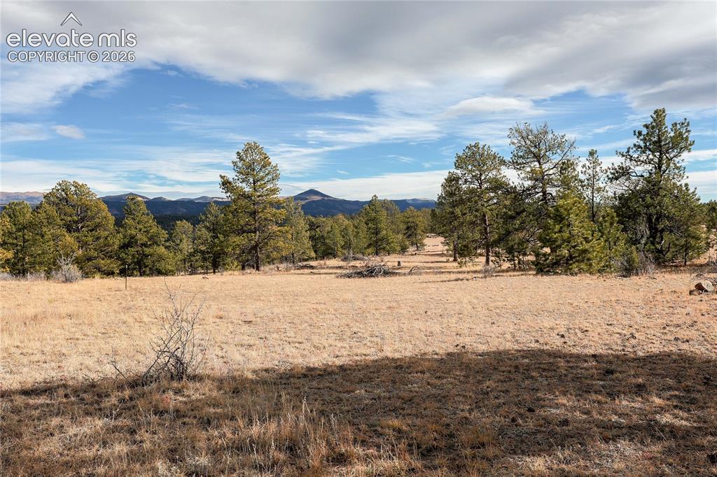 000 Twinkle Road Guffey CO 80820