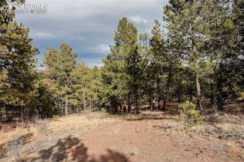 000 Twinkle Road Guffey CO 80820