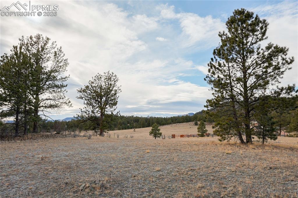 000 Twinkle Road Guffey CO 80820