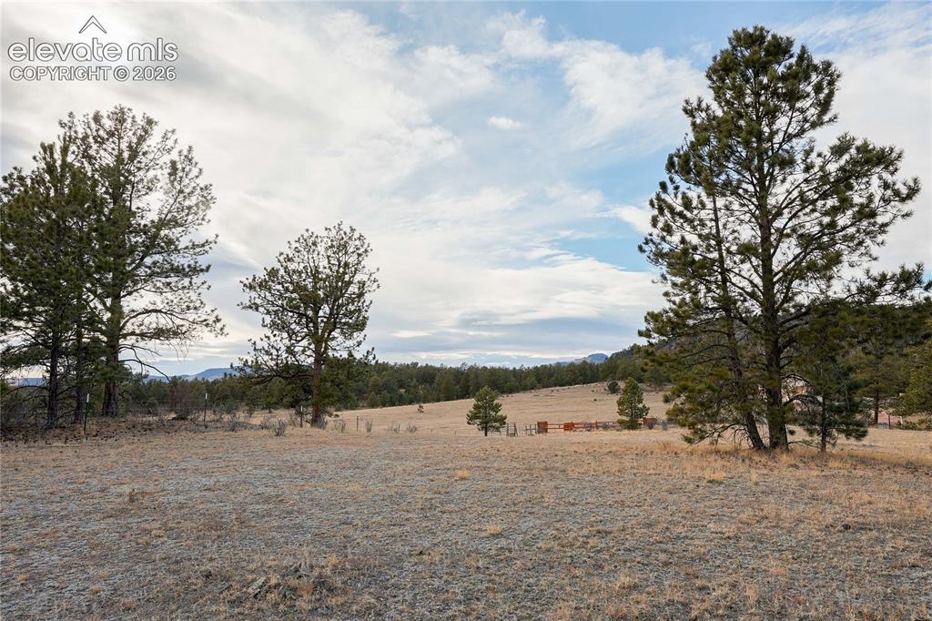 000 Twinkle Road Guffey CO 80820
