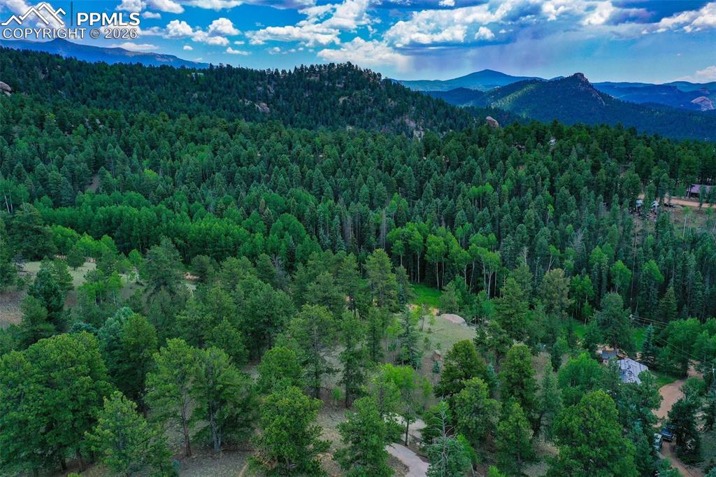 525 Spring Valley Lane Florissant CO 80816