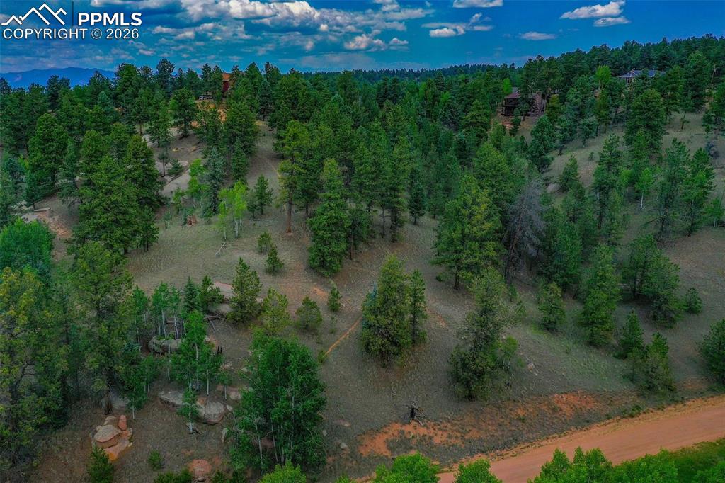 525 Spring Valley Lane Florissant CO 80816