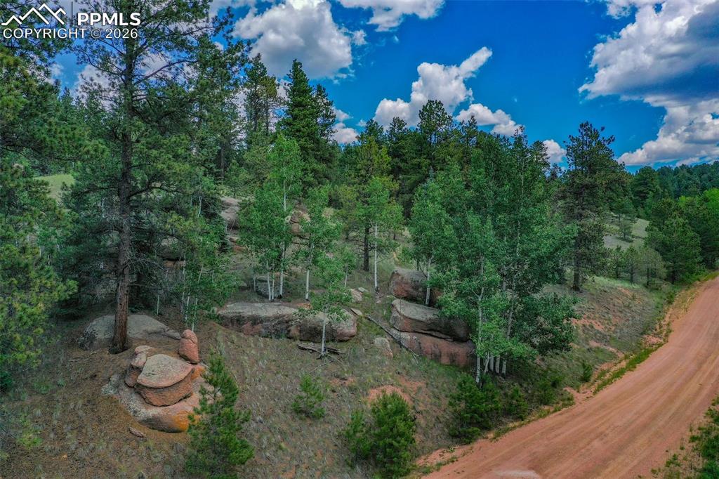 525 Spring Valley Lane Florissant CO 80816