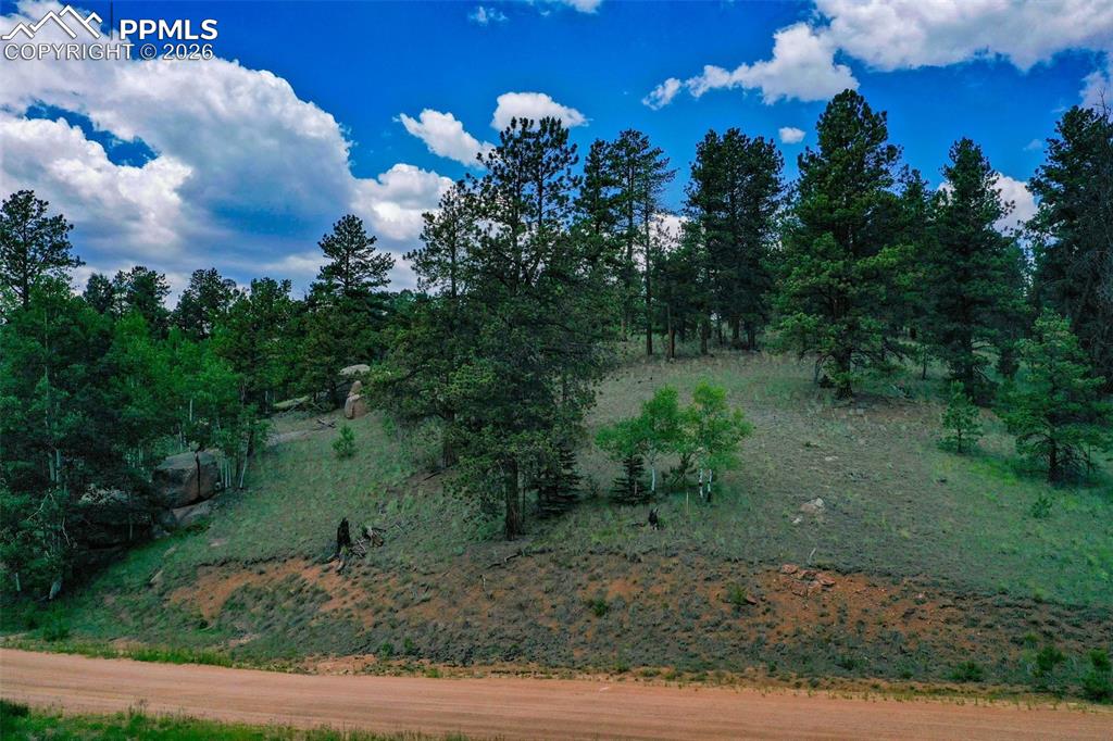 525 Spring Valley Lane Florissant CO 80816