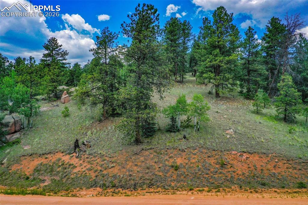 525 Spring Valley Lane Florissant CO 80816
