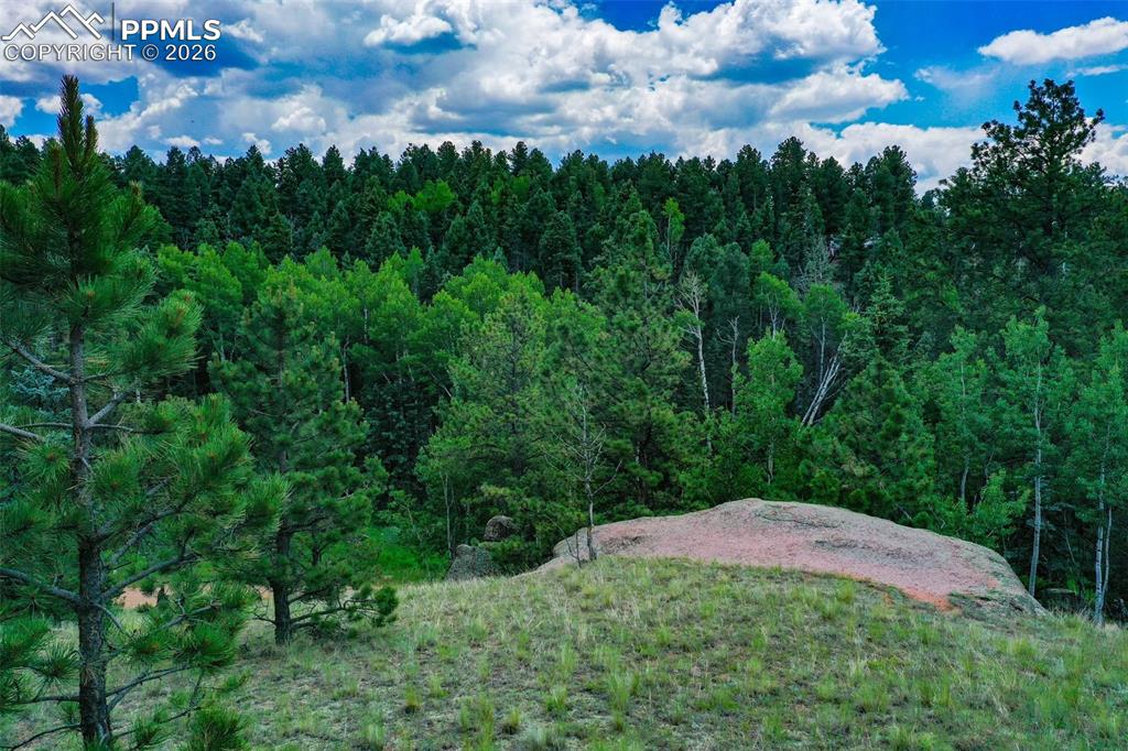 525 Spring Valley Lane Florissant CO 80816