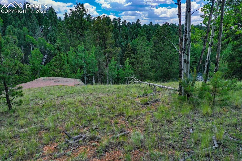 525 Spring Valley Lane Florissant CO 80816