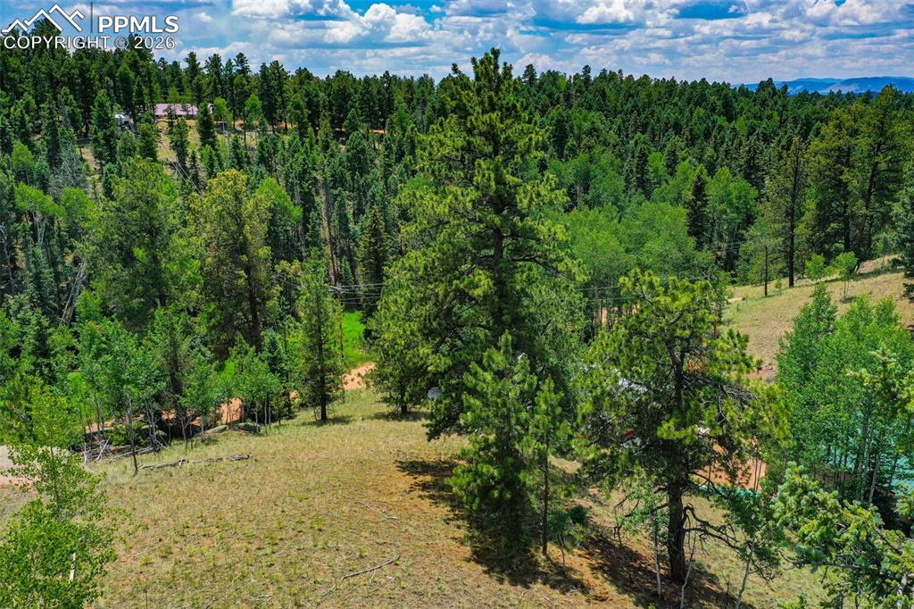 525 Spring Valley Lane Florissant CO 80816