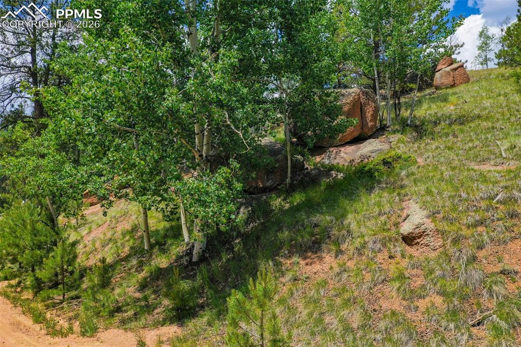 525 Spring Valley Lane Florissant CO 80816