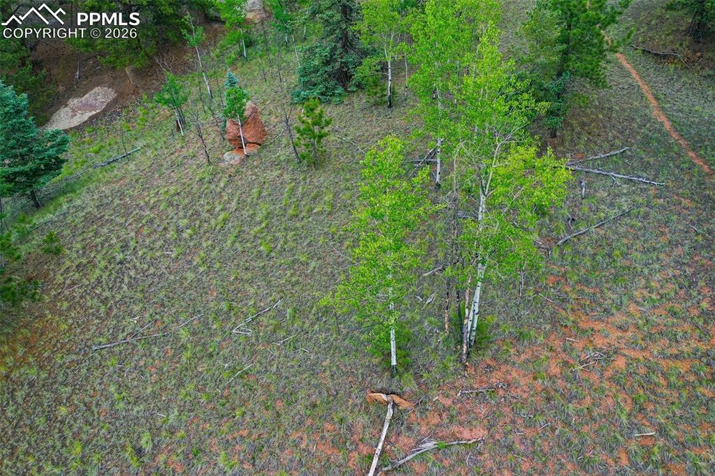 525 Spring Valley Lane Florissant CO 80816