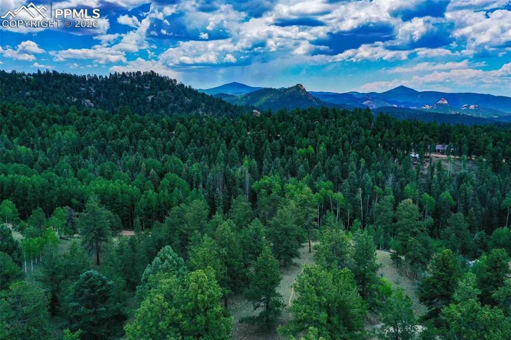 525 Spring Valley Lane Florissant CO 80816