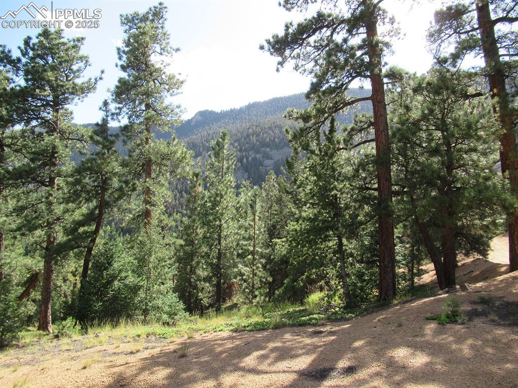 213 Coffee Pot Road Manitou Springs CO 80829