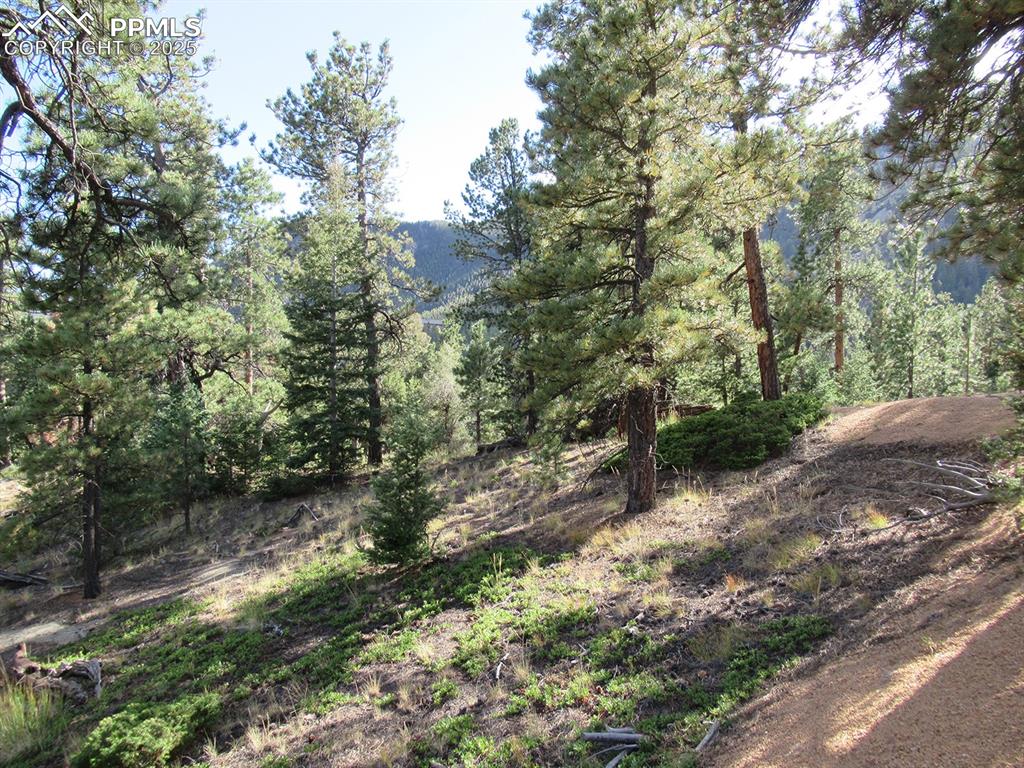 213 Coffee Pot Road Manitou Springs CO 80829