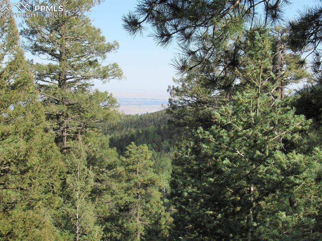 213 Coffee Pot Road Manitou Springs CO 80829