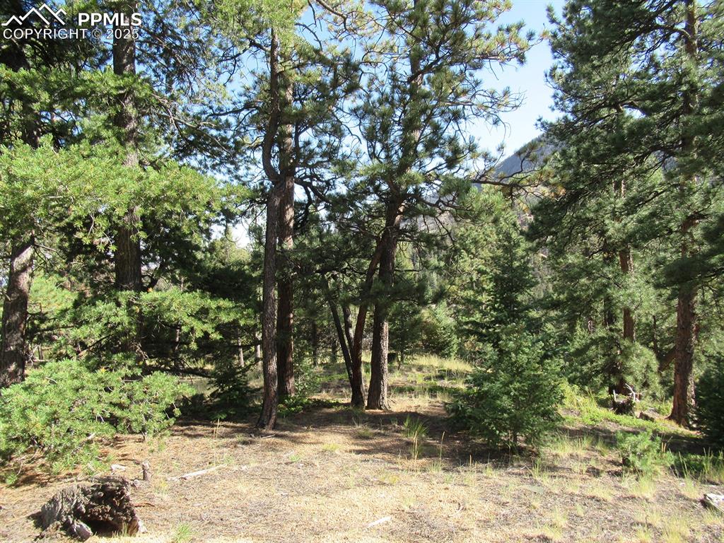 213 Coffee Pot Road Manitou Springs CO 80829