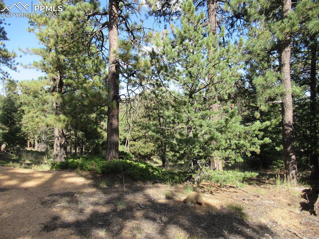 213 Coffee Pot Road Manitou Springs CO 80829