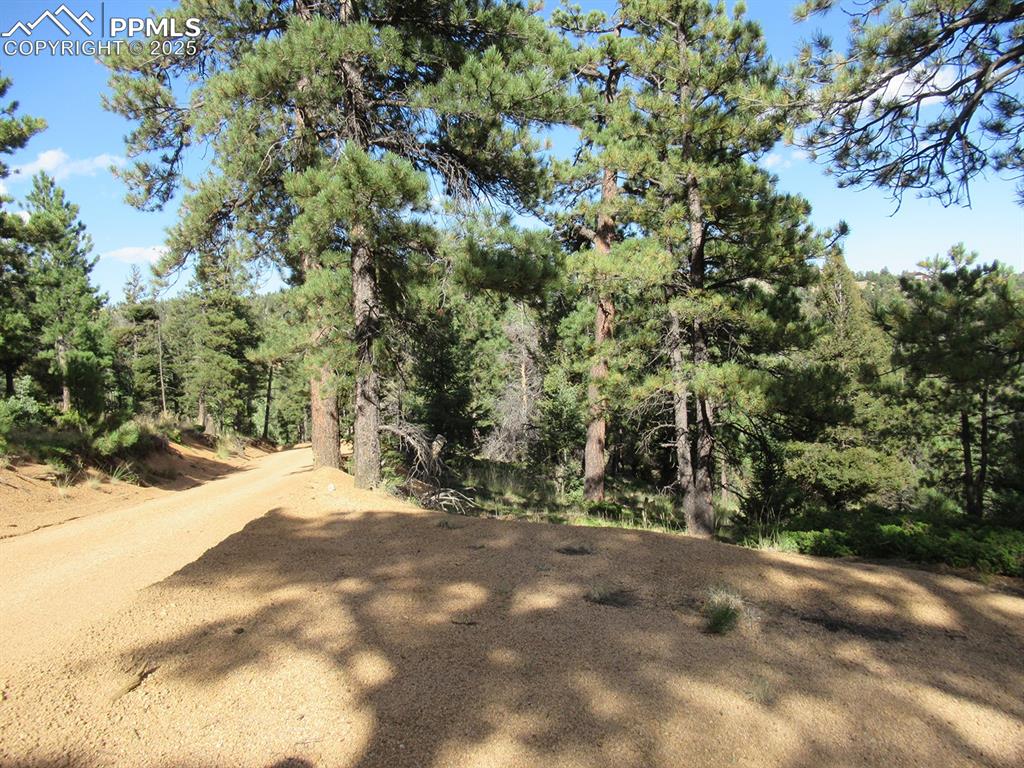 213 Coffee Pot Road Manitou Springs CO 80829
