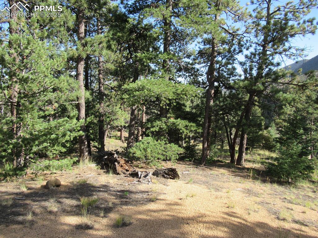 213 Coffee Pot Road Manitou Springs CO 80829