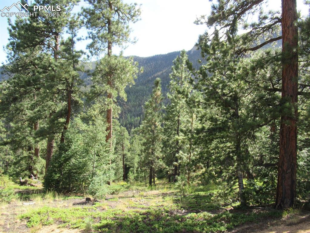 213 Coffee Pot Road Manitou Springs CO 80829