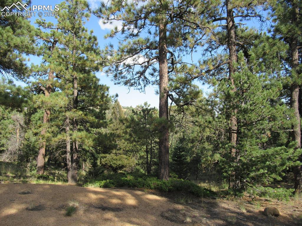 213 Coffee Pot Road Manitou Springs CO 80829