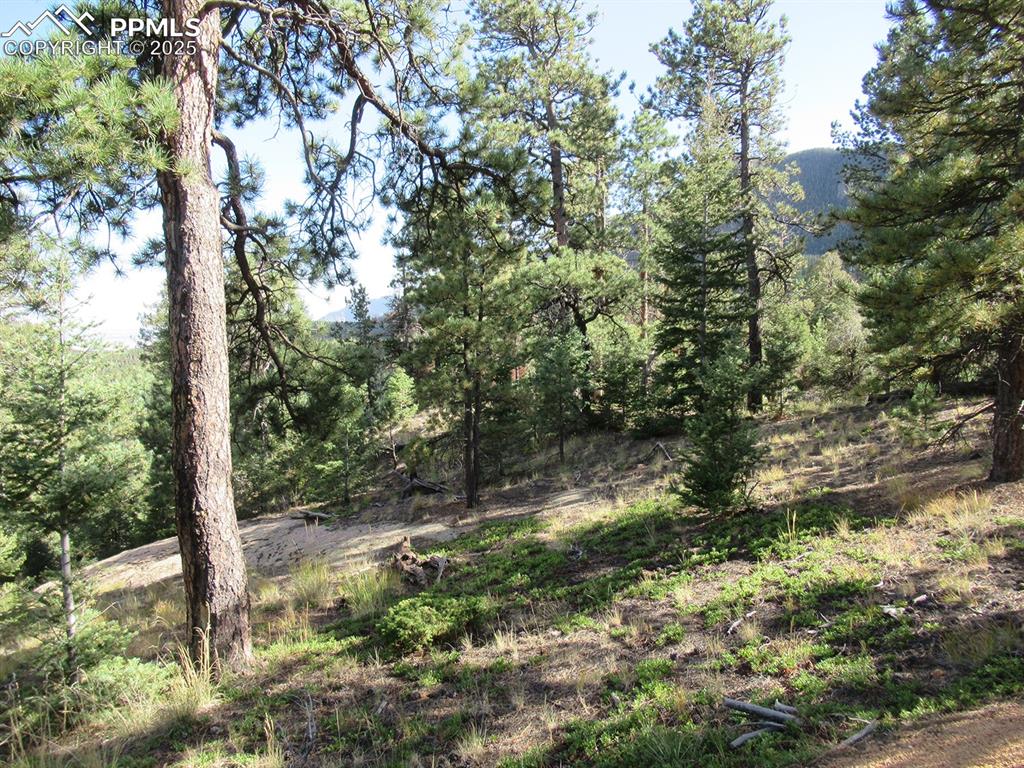213 Coffee Pot Road Manitou Springs CO 80829