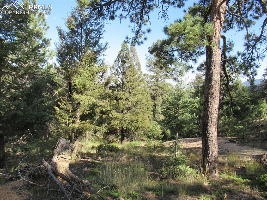 213 Coffee Pot Road Manitou Springs CO 80829
