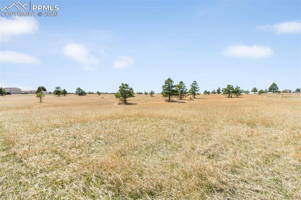 18150 Pinon Park Road Peyton CO 80831