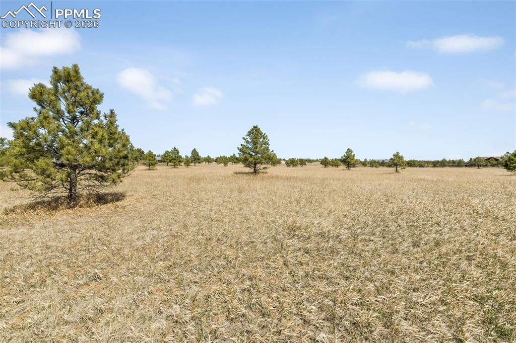 18150 Pinon Park Road Peyton CO 80831