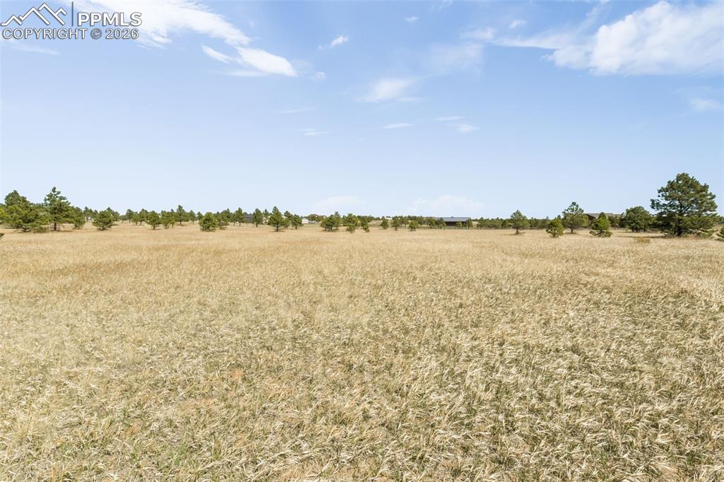 18150 Pinon Park Road Peyton CO 80831