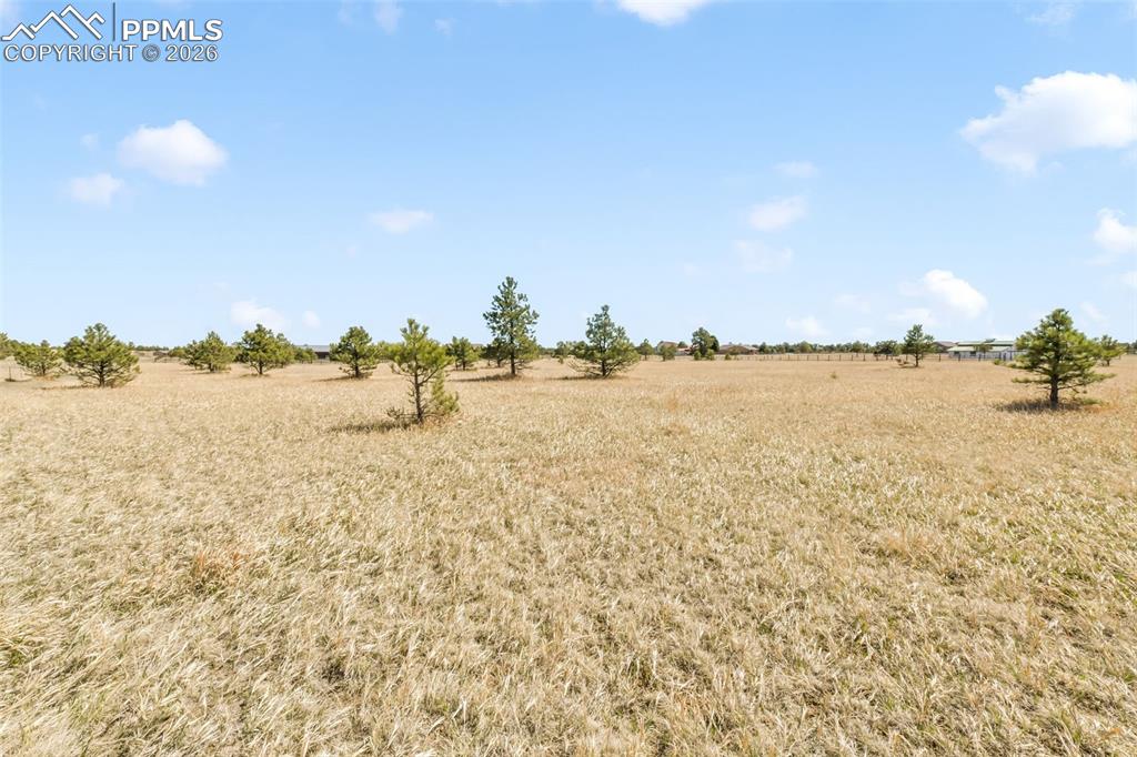 18150 Pinon Park Road Peyton CO 80831