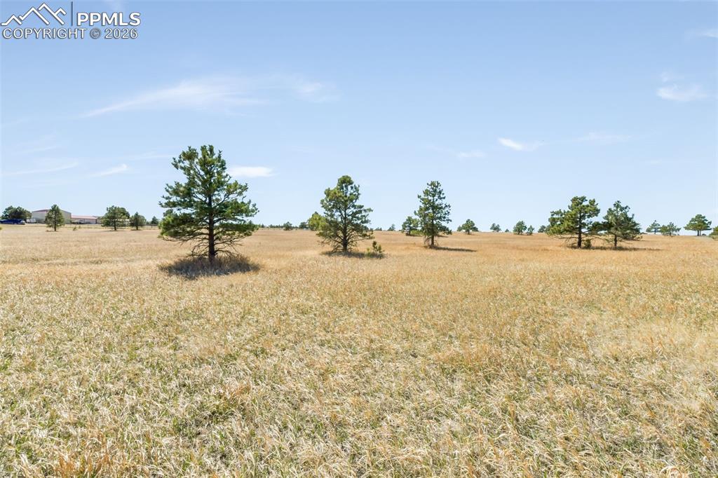 18150 Pinon Park Road Peyton CO 80831