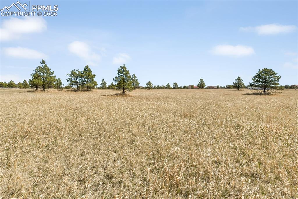 18150 Pinon Park Road Peyton CO 80831