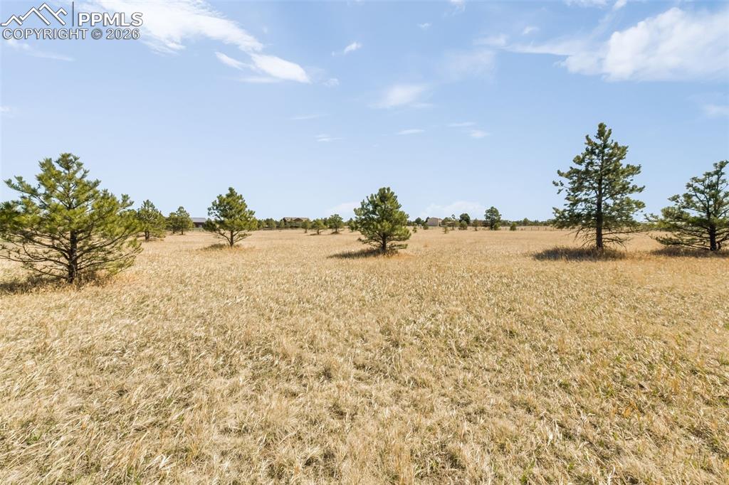 18150 Pinon Park Road Peyton CO 80831