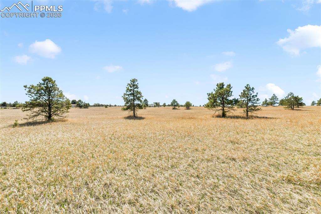 18150 Pinon Park Road Peyton CO 80831