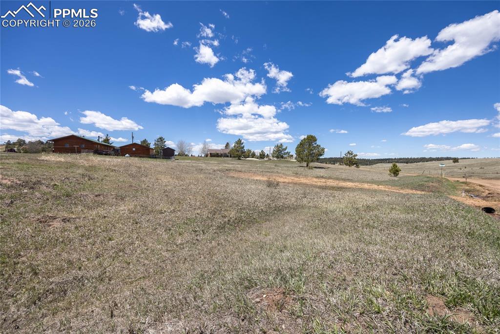 333 Golden Grain Lane Divide CO 80814