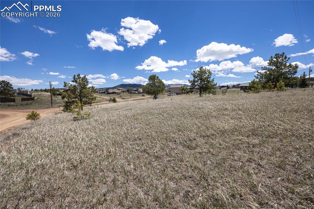 333 Golden Grain Lane Divide CO 80814