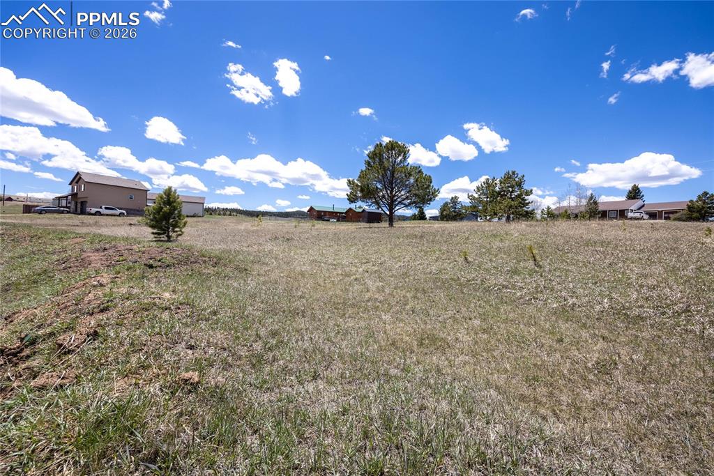 333 Golden Grain Lane Divide CO 80814