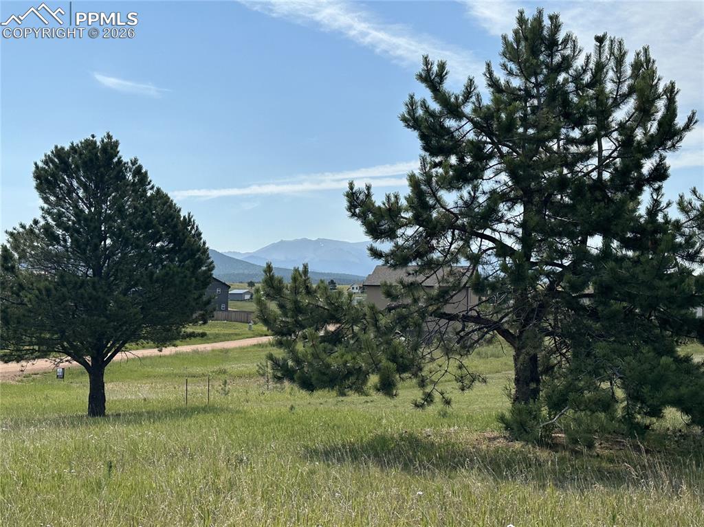 333 Golden Grain Lane Divide CO 80814