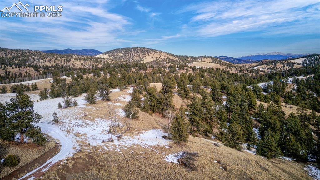 13 Buckhorn Trail Guffey CO 80820