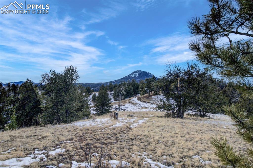 13 Buckhorn Trail Guffey CO 80820