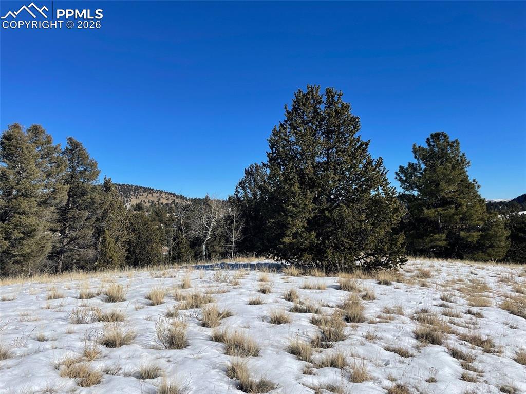 13 Buckhorn Trail Guffey CO 80820