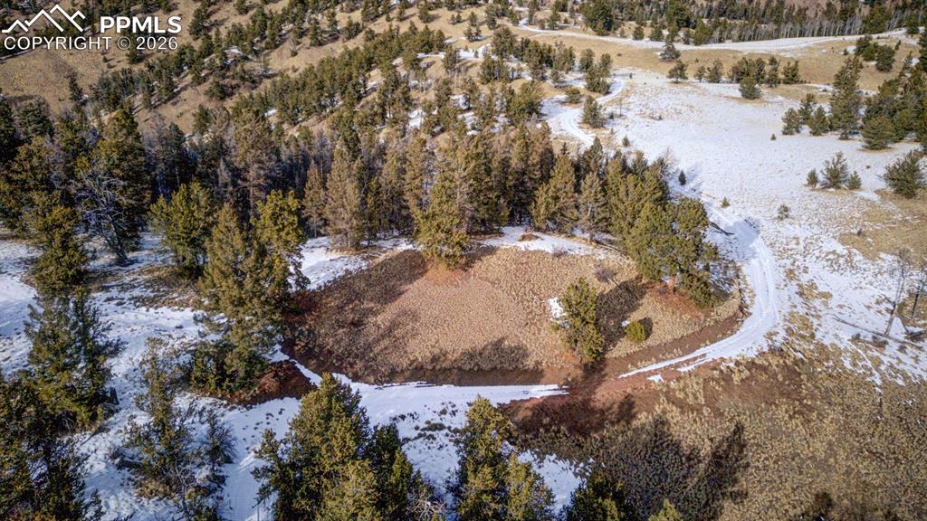 13 Buckhorn Trail Guffey CO 80820