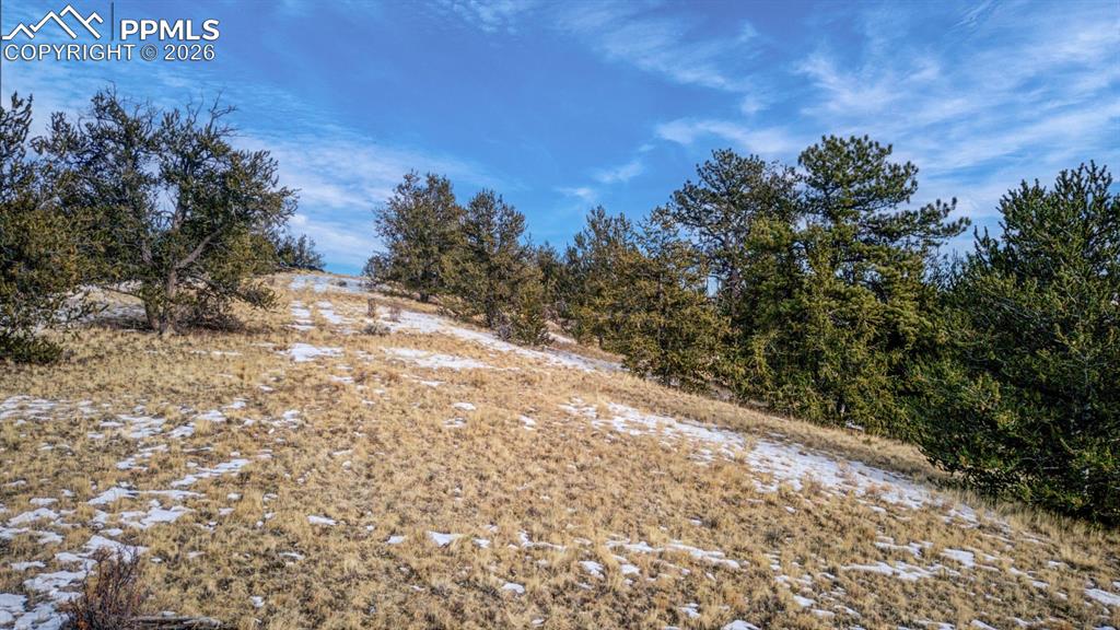 13 Buckhorn Trail Guffey CO 80820
